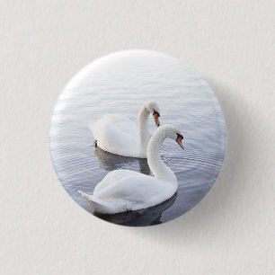 Two Swans Swimming on Tranquil Lake 3 Cm Round Badge