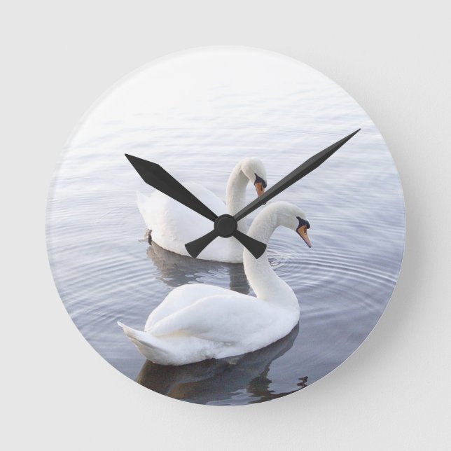 Two Swans Swimming on Tranquil Lake Round Clock (Front)