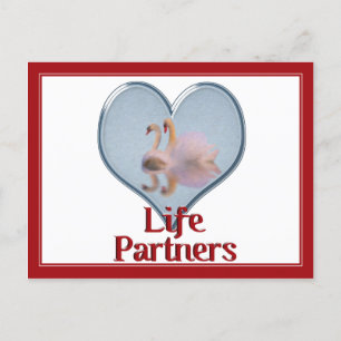 Two Swans Swimming w/text "Life Partners" Postcard