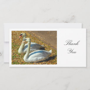 Two Swans - Thank You Card