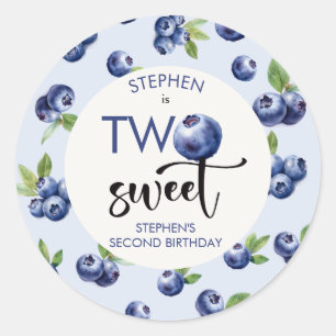 Two sweet blueberries kids birthday classic round sticker