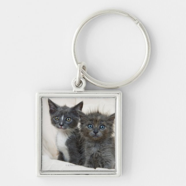 Two tabby kittens key ring (Front)