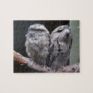 Two Tawny Frogmouth Birds Jigsaw Puzzle