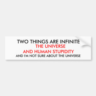TWO THINGS ARE INFINITE BUMPER STICKER
