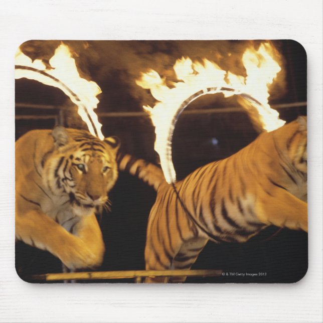 Two tigers leaping through burning rings of fire mouse pad (Front)