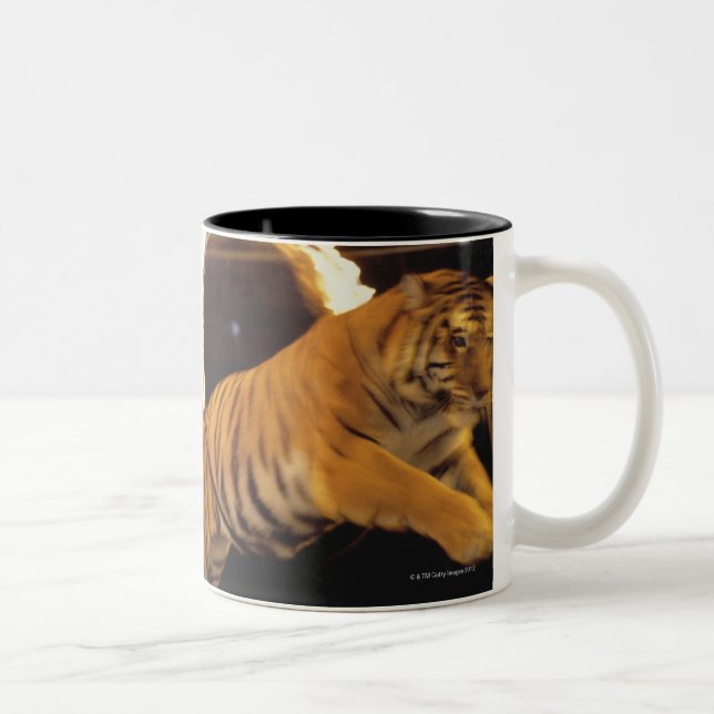 Two tigers leaping through burning rings of fire Two-Tone coffee mug (Right)