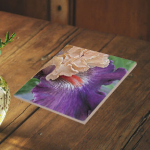 Two-Tone Bearded Iris Bloom Floral Ceramic Tile