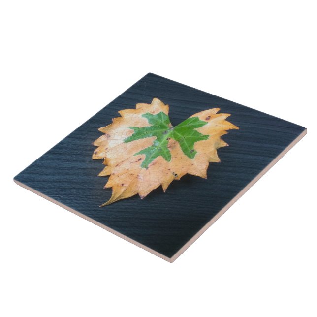Two Tone Leaf Ceramic Tile (Side)