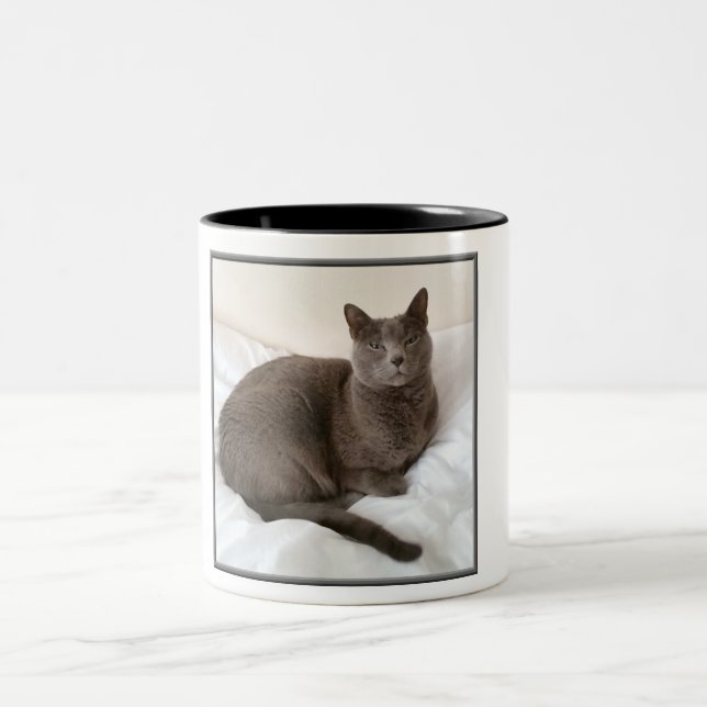 Two tone Mug, Russian Blue cat. Two-Tone Coffee Mug (Center)