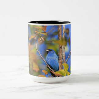 Two tone mug with picture of indigo bunting 