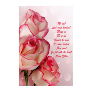  Two Tone Roses Helen Keller Quote Acrylic Art