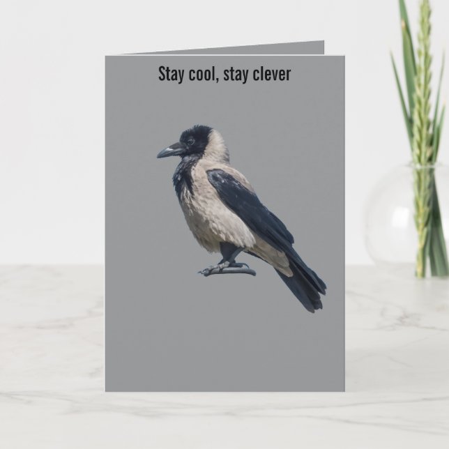 Two-Tone Sentinel Black Hooded Crow Card (Front)