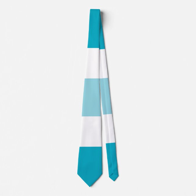 Two Tones Stripes  Tie (Front)