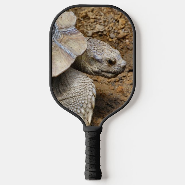 Two Tortoises Pickleball Paddle (Front)