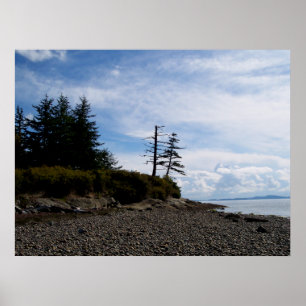 Two Tree Point Poster