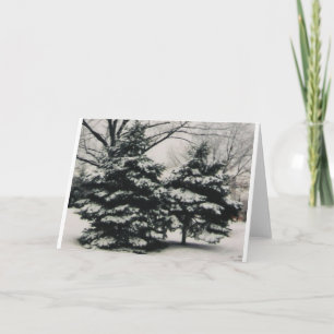 Two Trees in Winter (blank greeting card) Holiday Card