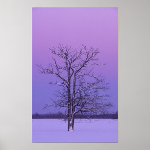 Two Trunked Tree at Sunrise; Chippewa County, Poster