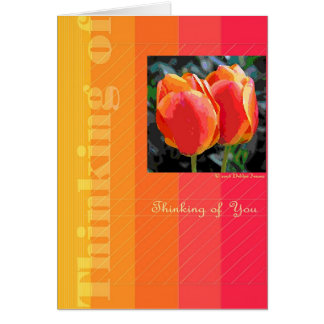 Two Tulips by Debbie Jensen