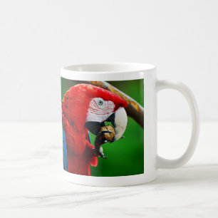 two types of Congo parakeets Coffee Mug