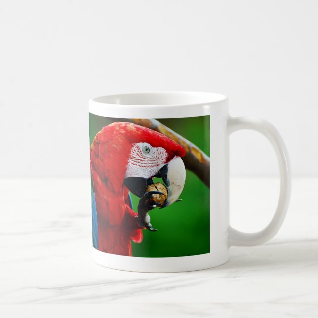 two types of Congo parakeets Coffee Mug (Right)