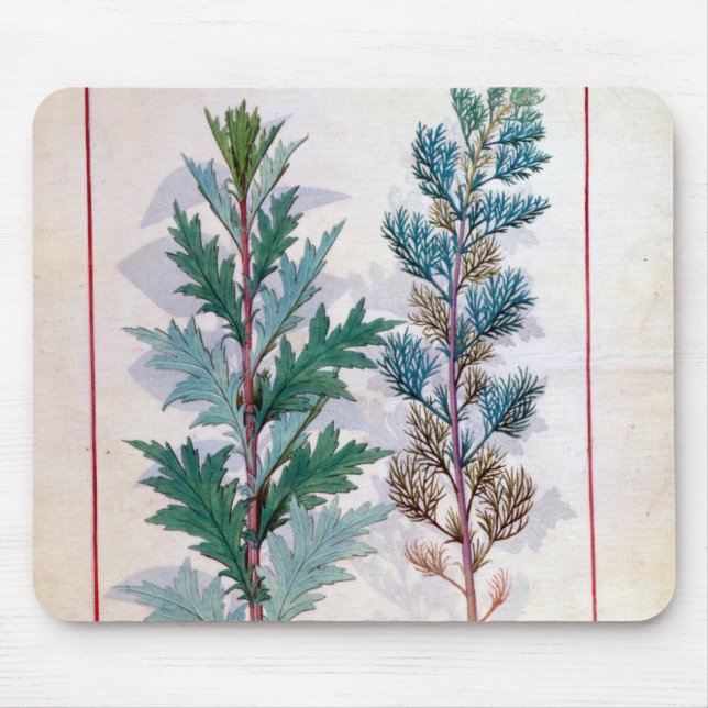 Two varieties of Artemesia Mouse Pad (Front)