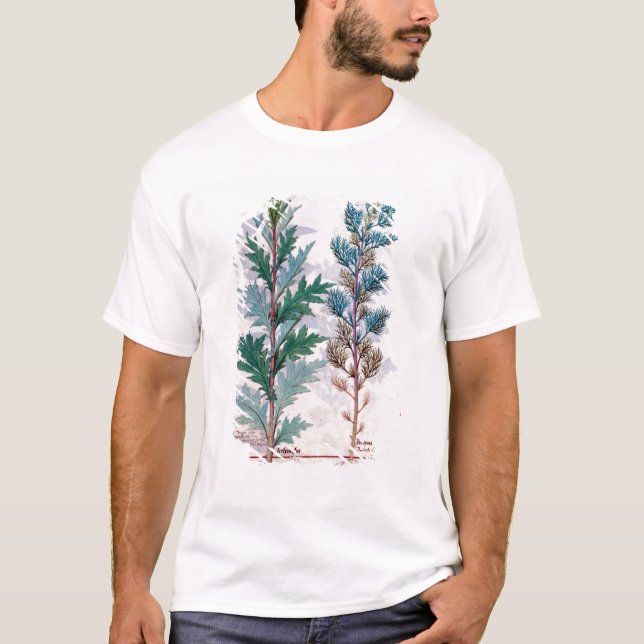 Two varieties of Artemesia T-Shirt (Front)