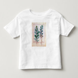Two varieties of Artemesia Toddler T-Shirt