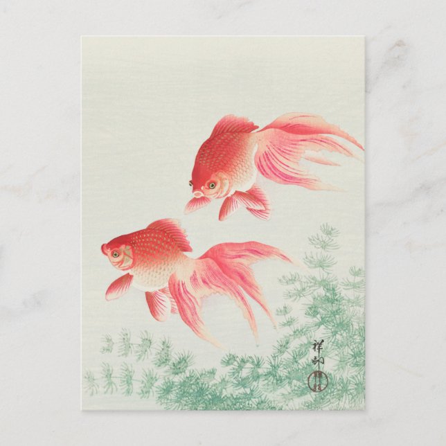 Two Veil Goldfish Painting by Ohara Koson Postcard (Front)