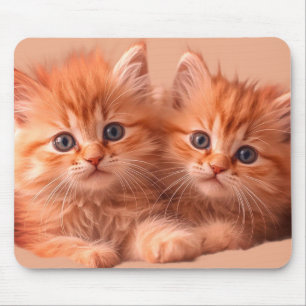 Two Very Cute Kittens on a Laptop Desktop Tablet Mouse Pad