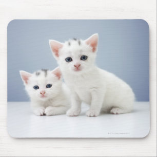 Two very young white kittens stare inquisitively mouse pad