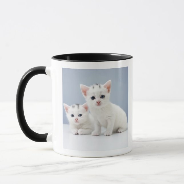Two very young white kittens stare inquisitively mug (Left)