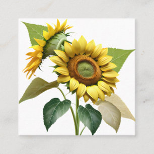 Two Vibrant Sunflowers with Lush Green Leaves Square Business Card
