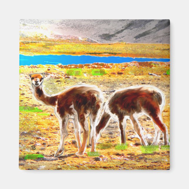 Two Vicunas Andes Mountains Peru Magnet (Front)