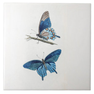 Two Vintage Blue Butterflies Ceramic Tile
