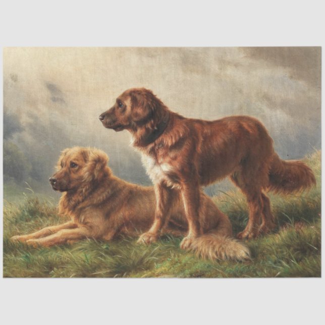 Two Watchful Dogs Tissue Paper (Front)