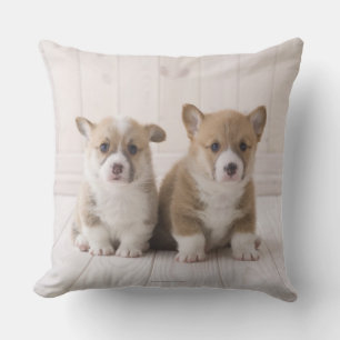 Two Welsh Corgi Sitting Cushion