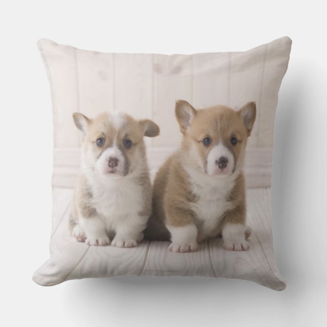 Two Welsh Corgi Sitting Cushion (Front)