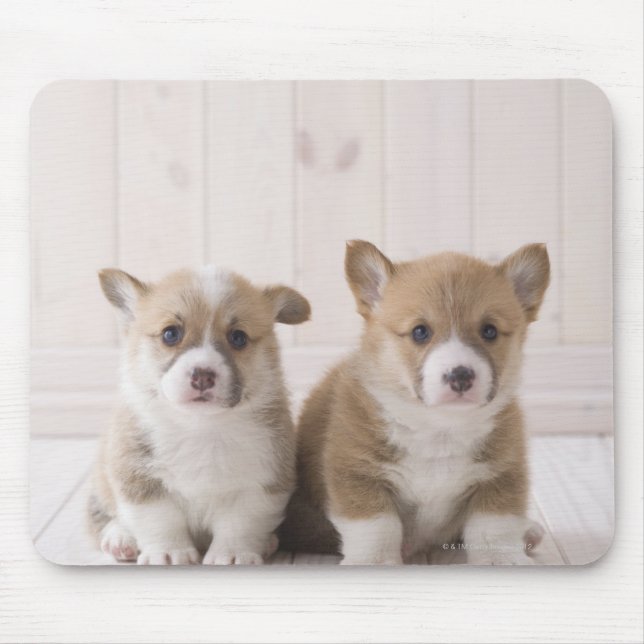 Two Welsh Corgi Sitting Mouse Pad (Front)