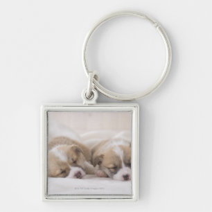 Two Welsh Corgi Sleeping Key Ring