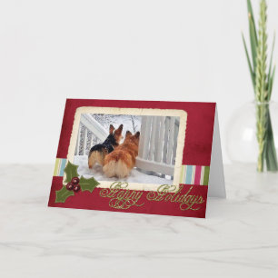 Two Welsh Corgis in the Snow with Holiday Frame