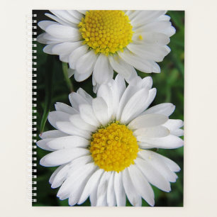 Two white daisies planner