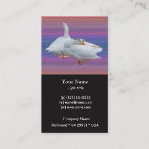 two white geese in colour  background business card