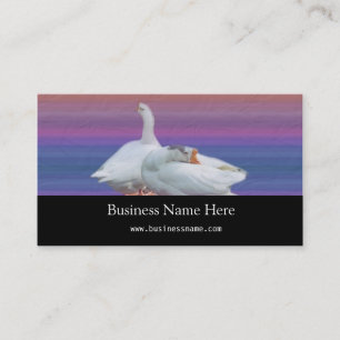 two white geese in colour  background business card