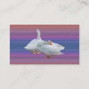 two white geese in fancy background. business card