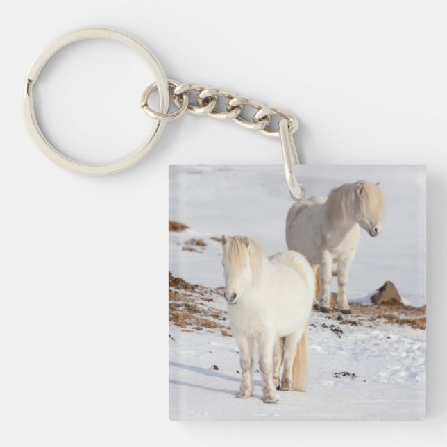 Two White Icelandic Horses Key Ring (Front)