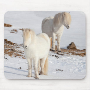 Two White Icelandic Horses Mouse Pad