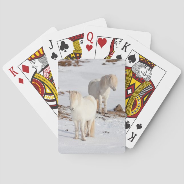 Two White Icelandic Horses Playing Cards (Back)