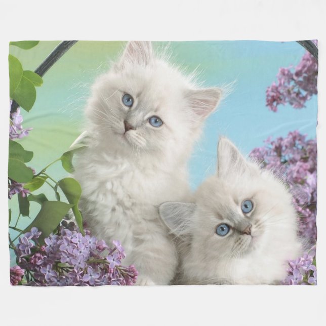 TWO WHITE KITTENS FLEECE BLANKET (Front (Horizontal))