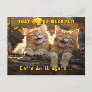 Two White Orange Funny Laughing Cats Postcard