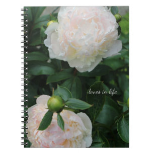 Two White Peonies Notebook